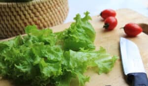 Sơ chế nguyên liệu sao cho đảm bảo vệ sinh an toàn thực phẩm nhất.