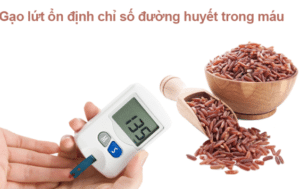 Gạo lứt kiểm soát lượng đường trong máu